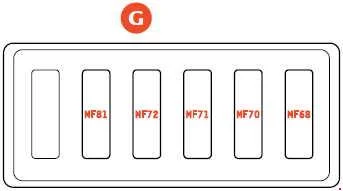 Componente 'g' da Ferrari 599 GTO.