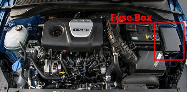 Localização da caixa de fusíveis no compartimento do motor do Elantra GT.